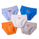 Briefs (Pack of 5) — Planes