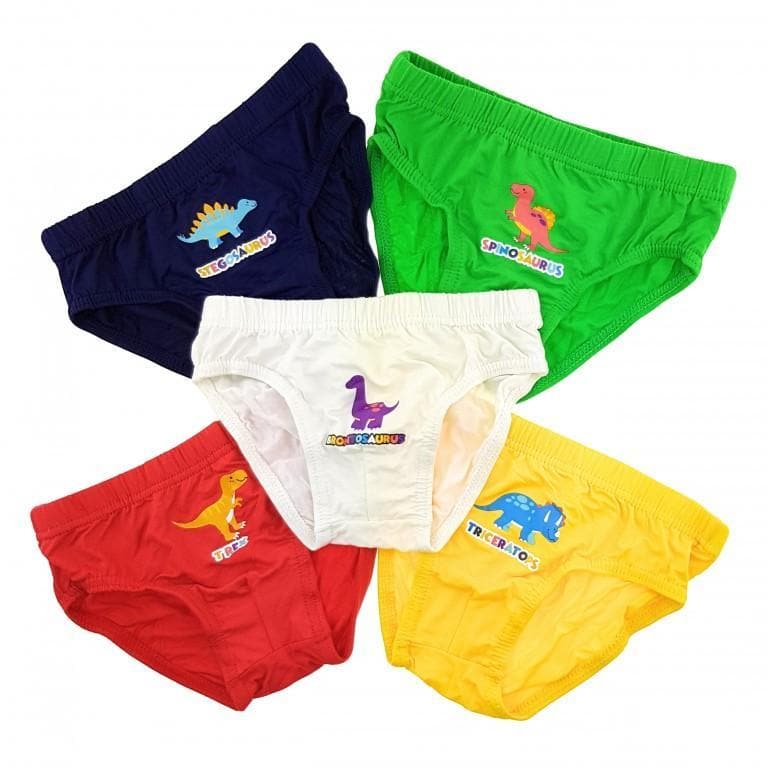 Boys Briefs - Dinosaurs (5-Pack Set) by simplylifebaby